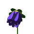 blueCLRflower.gif (5977 bytes)