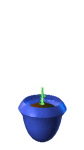 plant_grow_w.gif (19049 bytes)